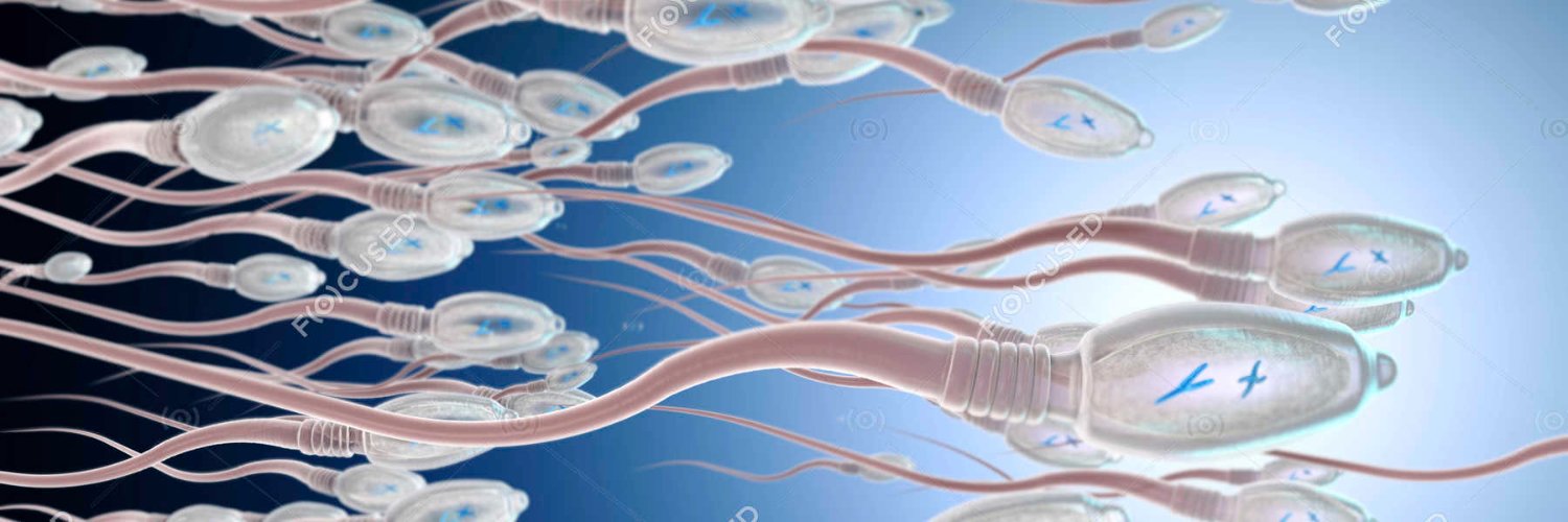 SpunkloadsAreUs banner