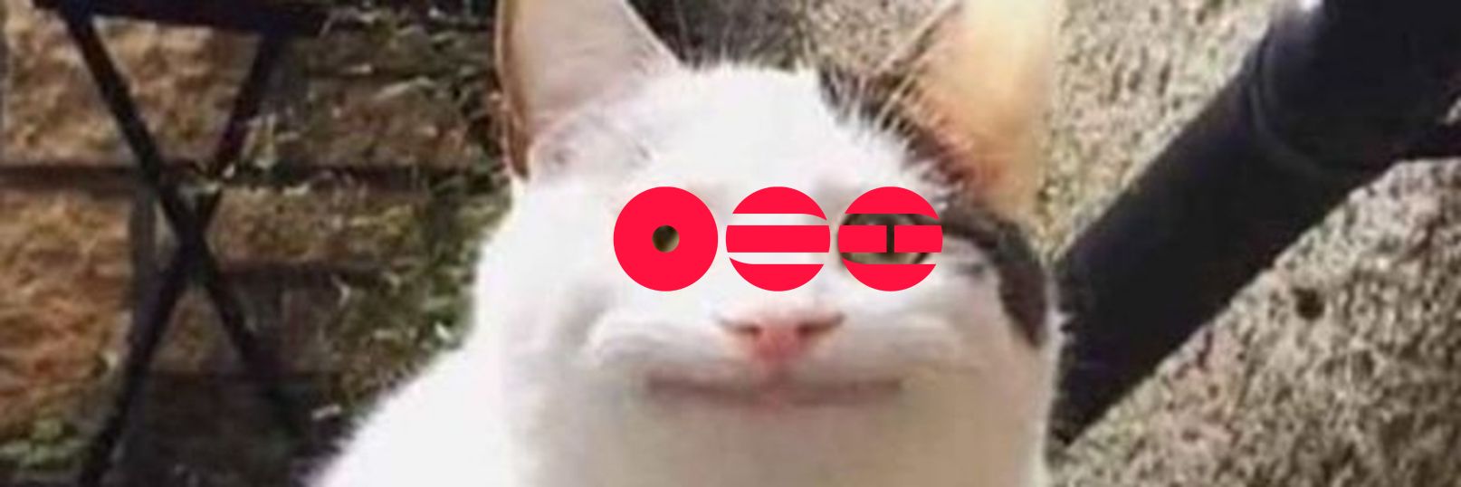 Опⓘⓖ⒤ᖇi🍙夫人 banner