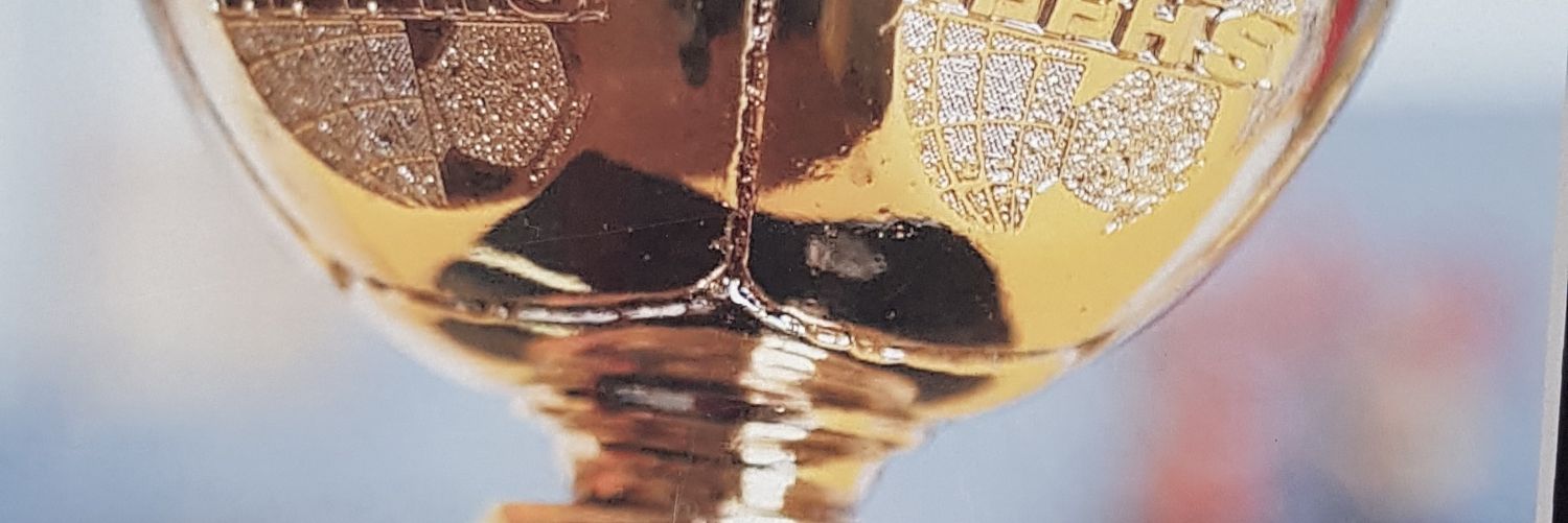 VR7camarony's profile banner image