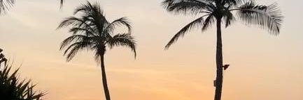 Dxv505's profile banner image