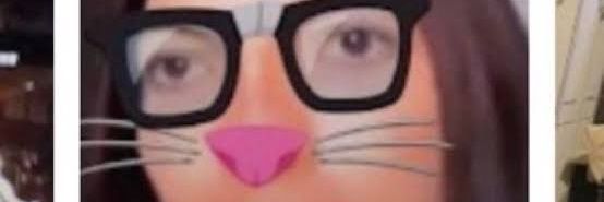 amigos felinos banner