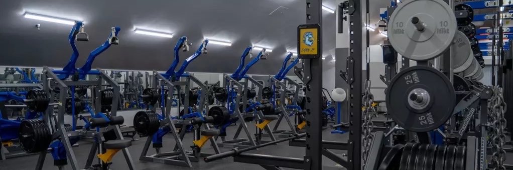 SP_Strength's profile banner image