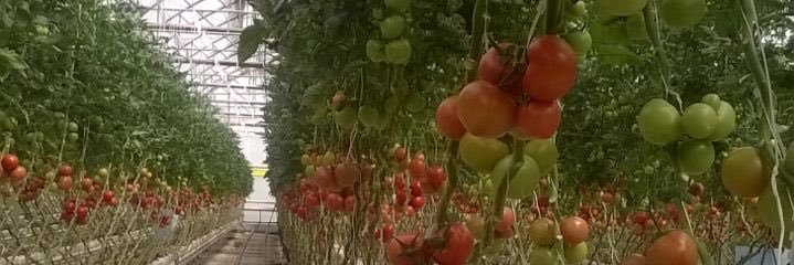 ali_denser's profile banner image