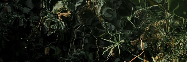 MaxMiechowski Profile Banner