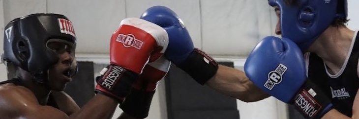 CertifiedReis2x banner