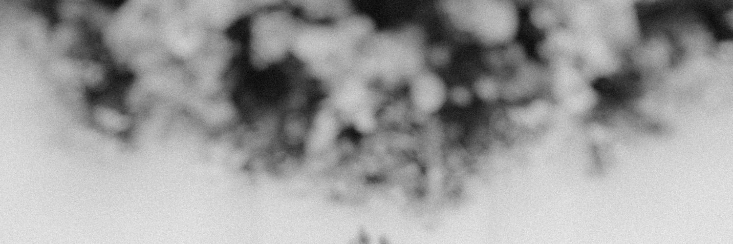 noefdhilah's profile banner image