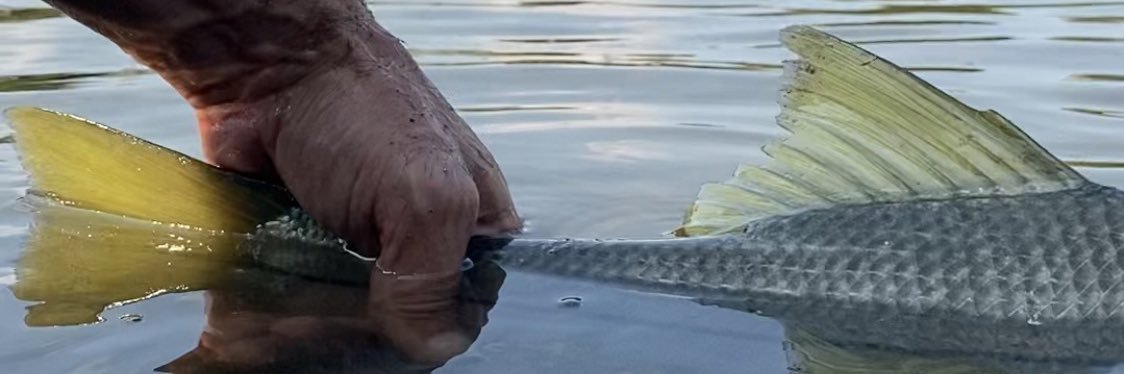 Snookfiend || GAC banner