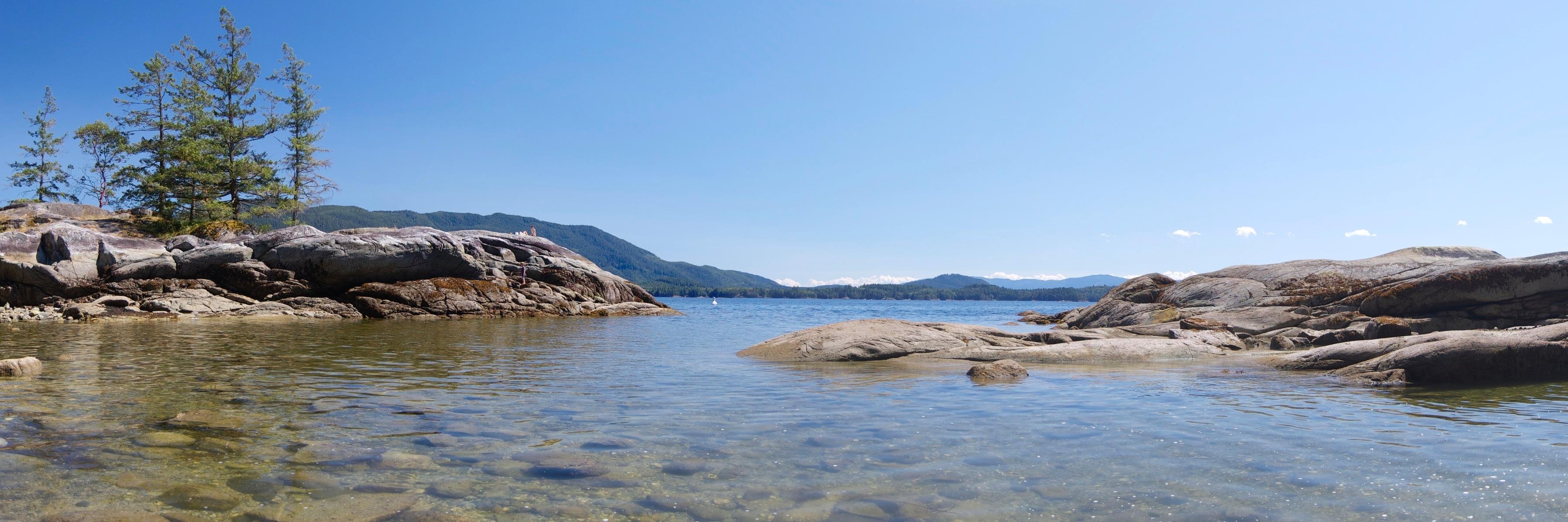 Brad Cavanagh @canspice@newwest.social banner