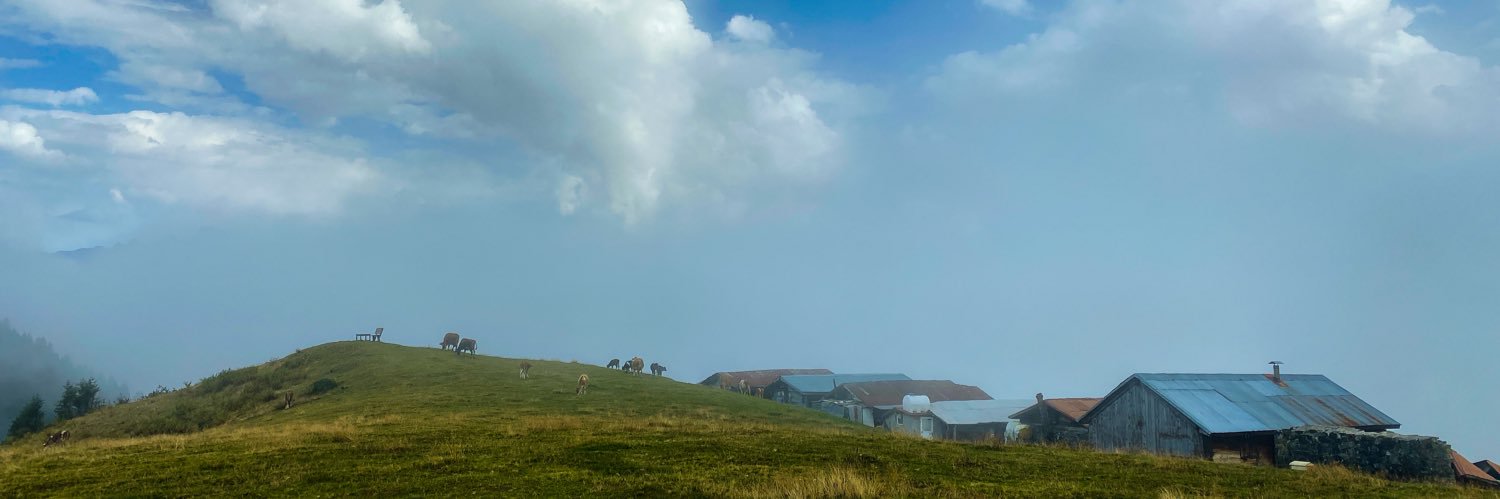 PinarCavdar's profile banner image