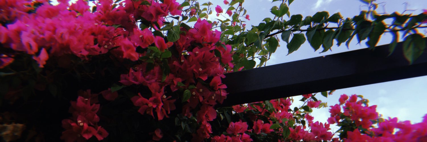 mhaiomhai's profile banner image