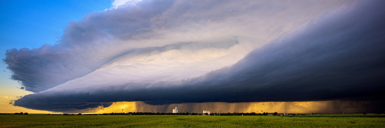 Michael Seger banner