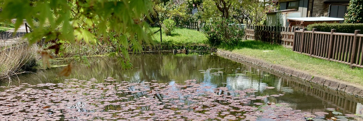 リンネ🟠 banner