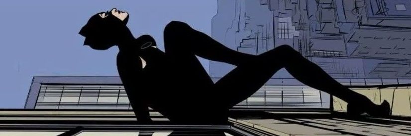 Catwoman banner