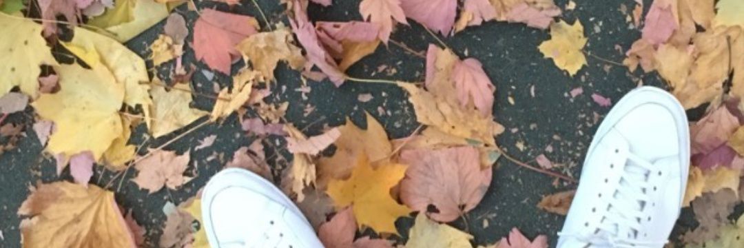 Łukasz 🇵🇱🦅⚒️ banner