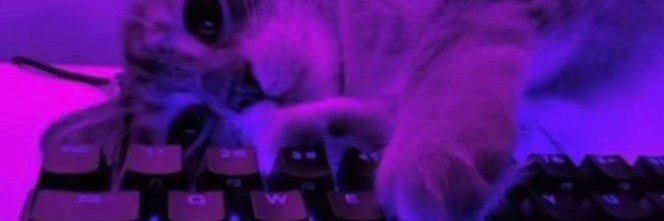 softyyone's profile banner image