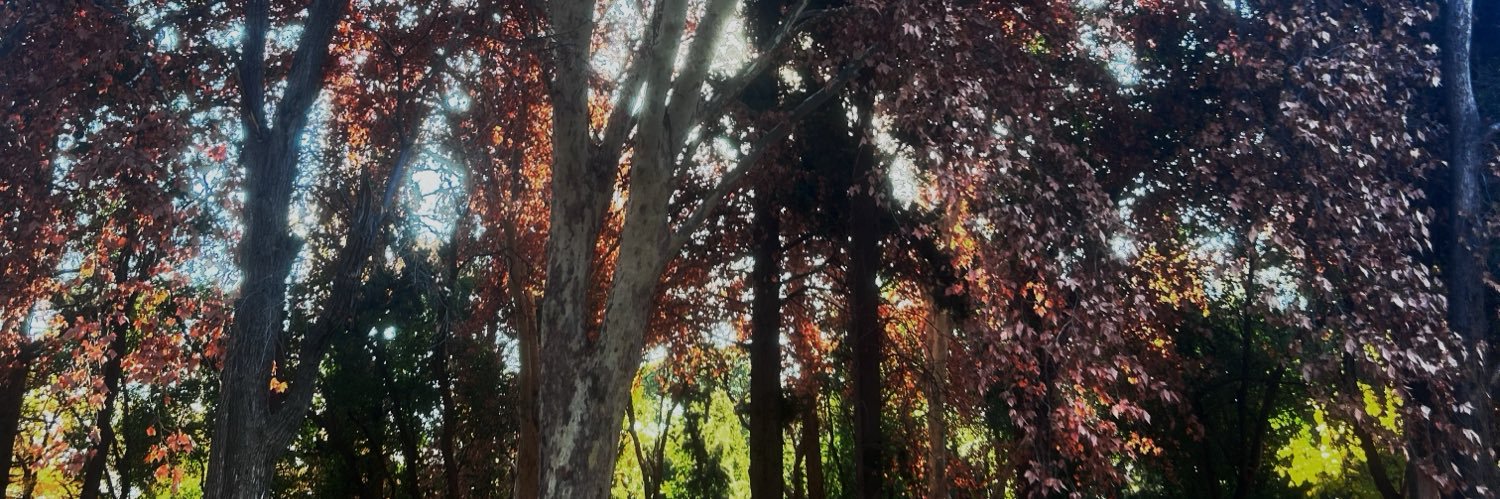 __valenry's profile banner image