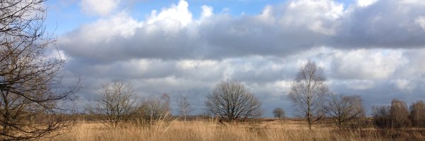 mensmilieu Profile Banner