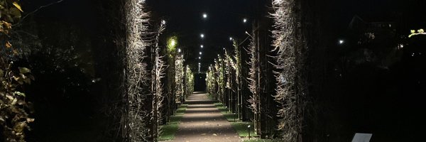 OnlySenseii Profile Banner