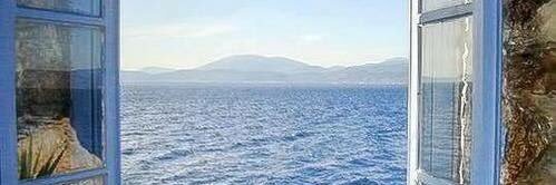 Teresa Di Palo banner