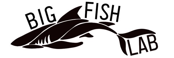 big_fish_lab Profile Banner