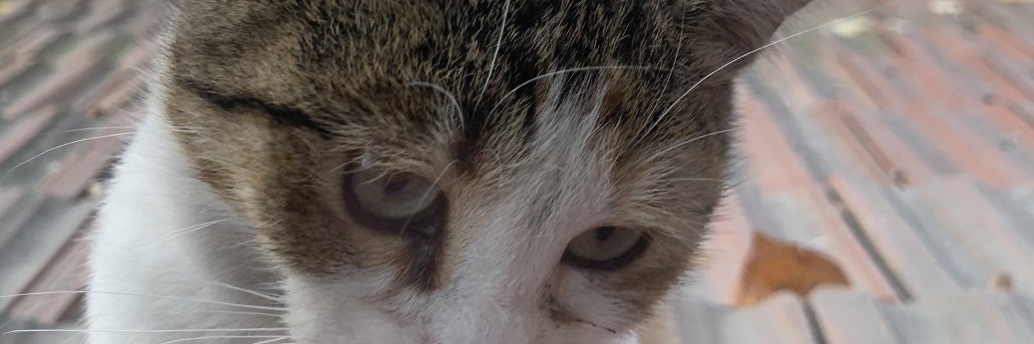 sinancircir's profile banner image