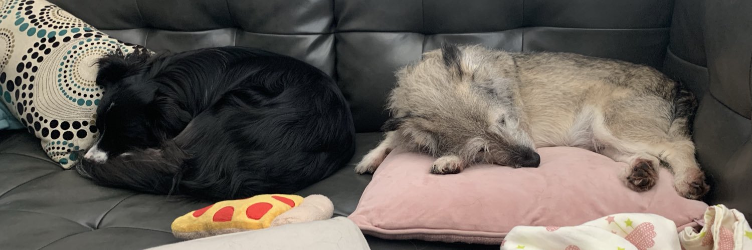 littlebwild's profile banner image