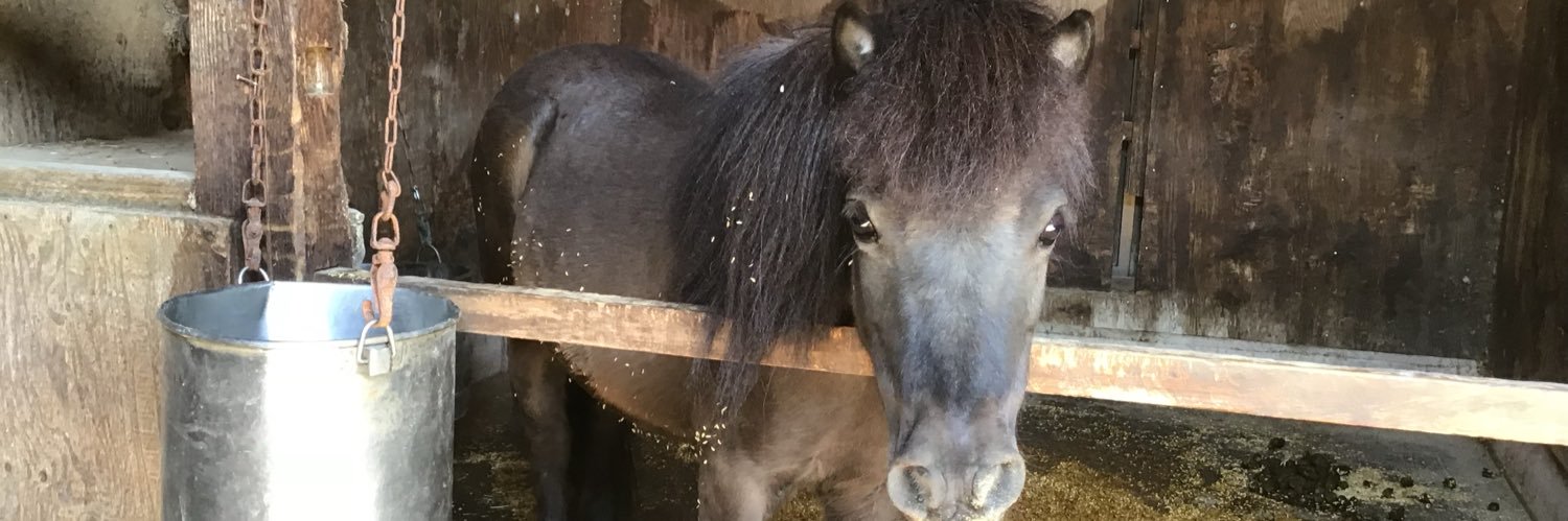 ！ ちン太 banner