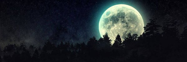 DeganDev Profile Banner