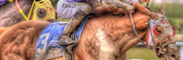 the_mares's profile banner image