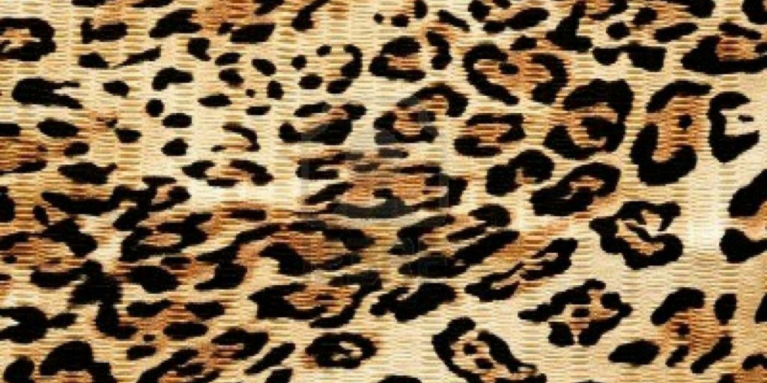 ninipiolina's profile banner image