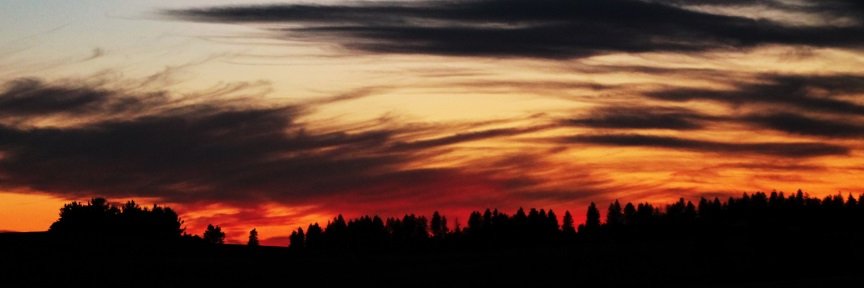 JoeHuffman's profile banner image