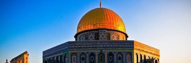 Mecit Türkmen banner