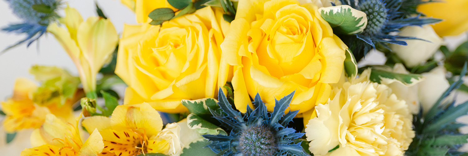 Teleflora's profile banner image