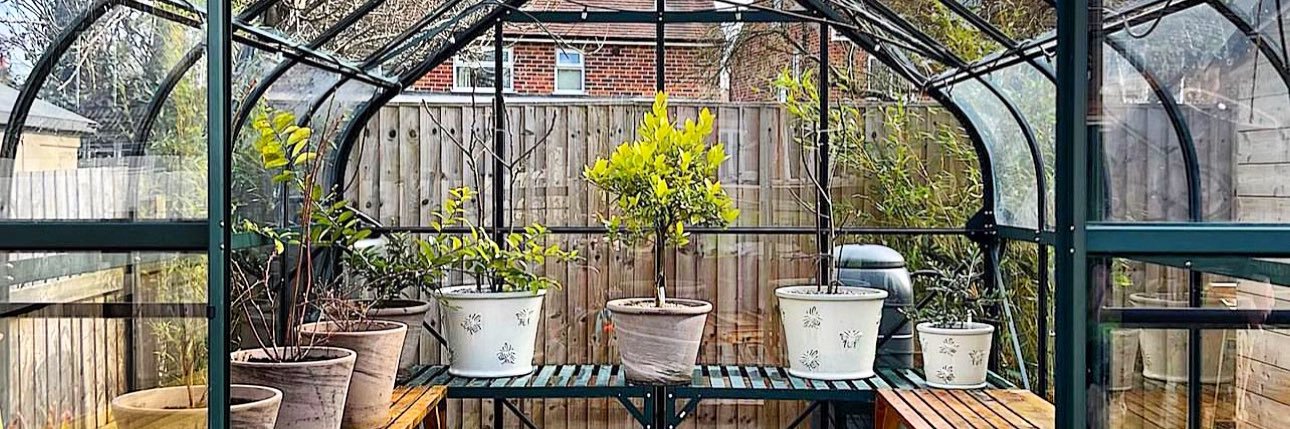 Vitavia Greenhouses banner