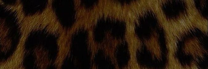 Poisonivy banner