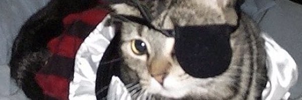 whiskiinator Profile Banner