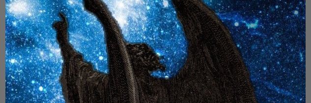aluca1213's profile banner image