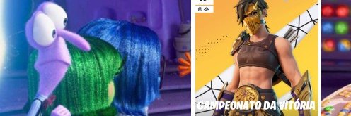 1LiPie banner
