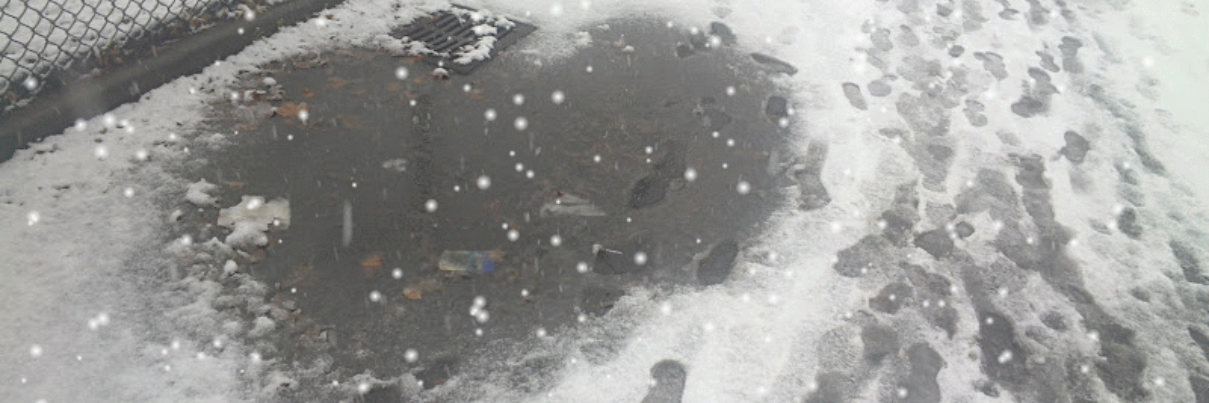 Ralph Yozzo 🌍🌎 banner