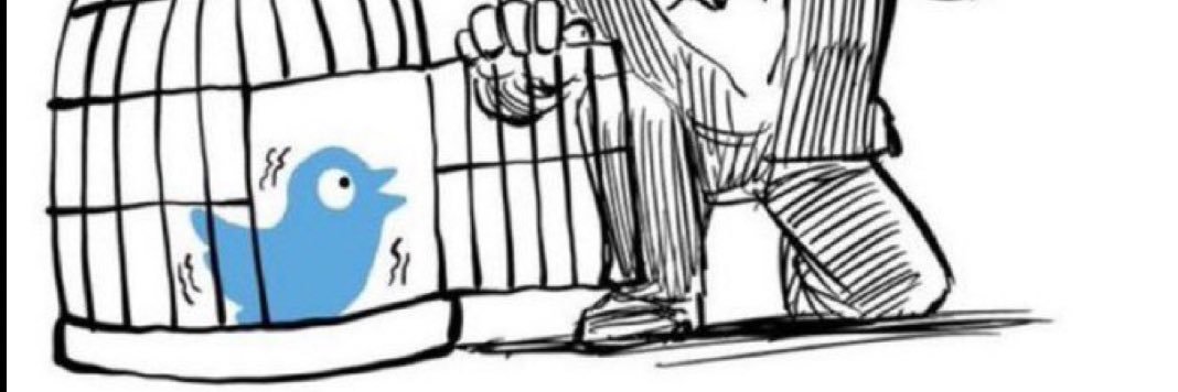 Adam banner