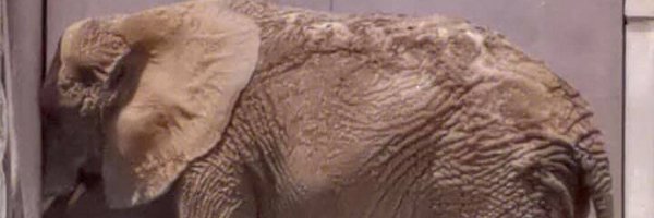 SaveEly Profile Banner