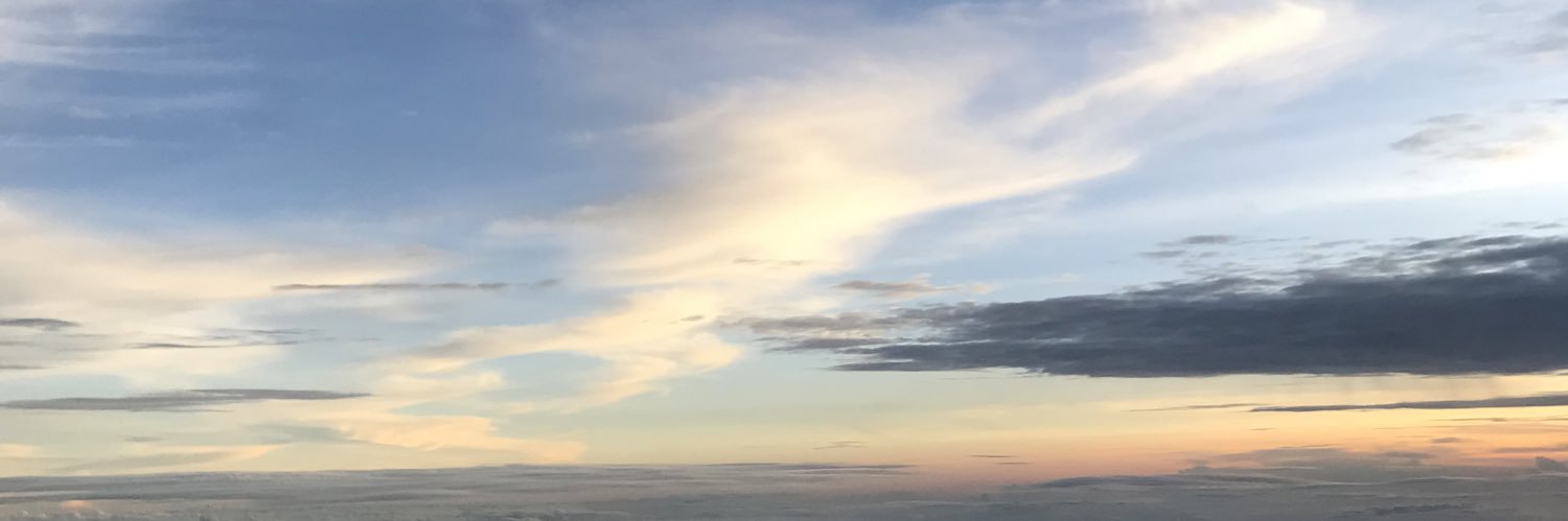 indieissa's profile banner image