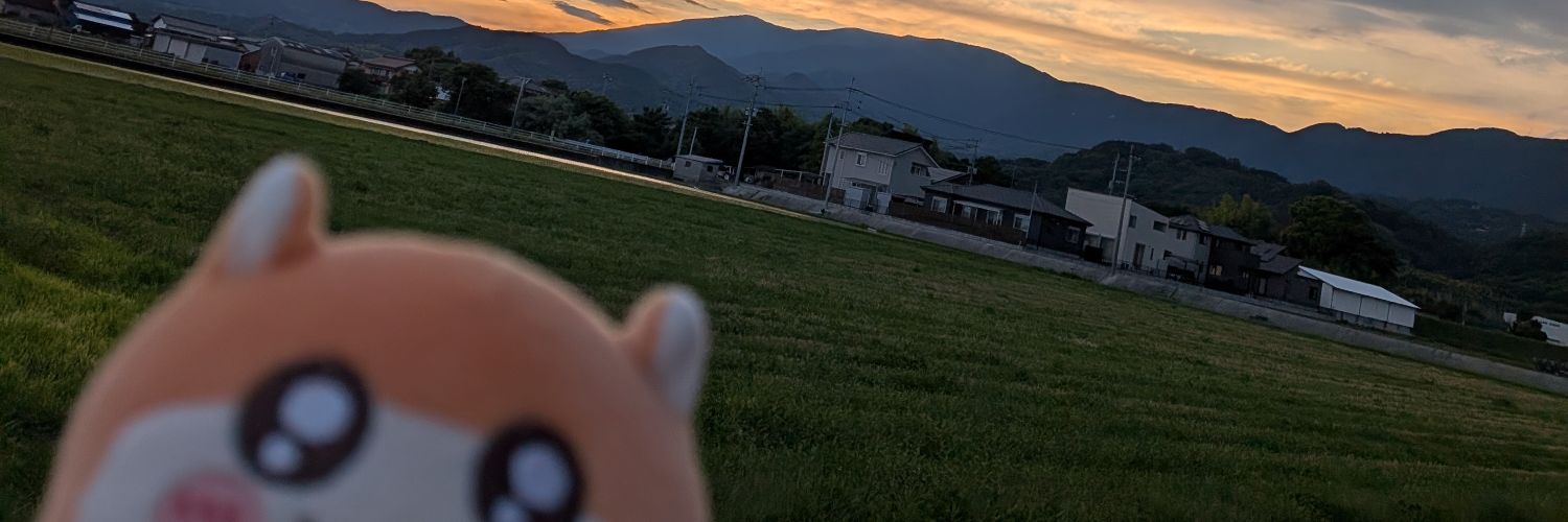 ichigousappy's profile banner image