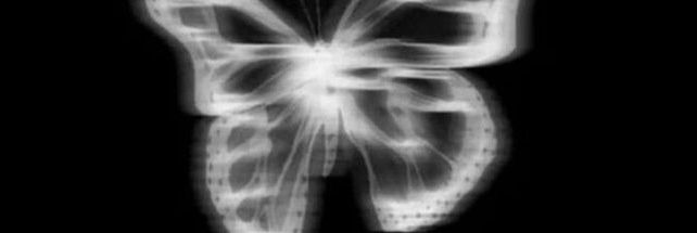 Gauri🐈‍⬛ banner