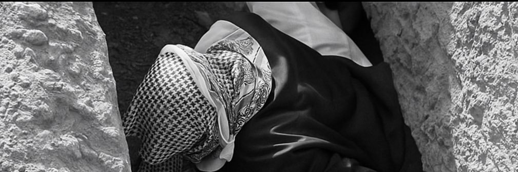 Alruei's profile banner image
