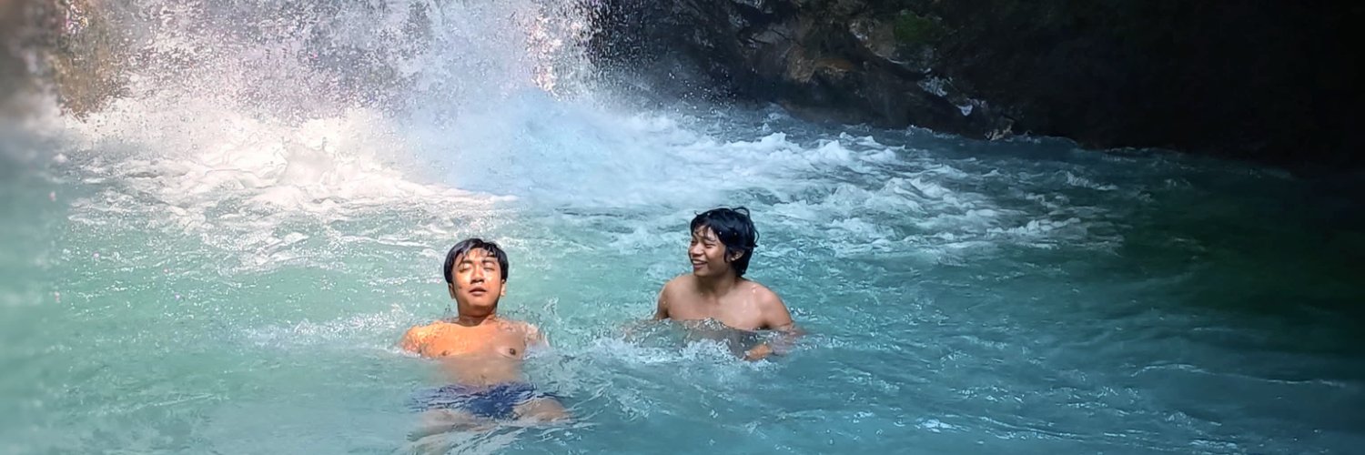 dendrocigna jav banner