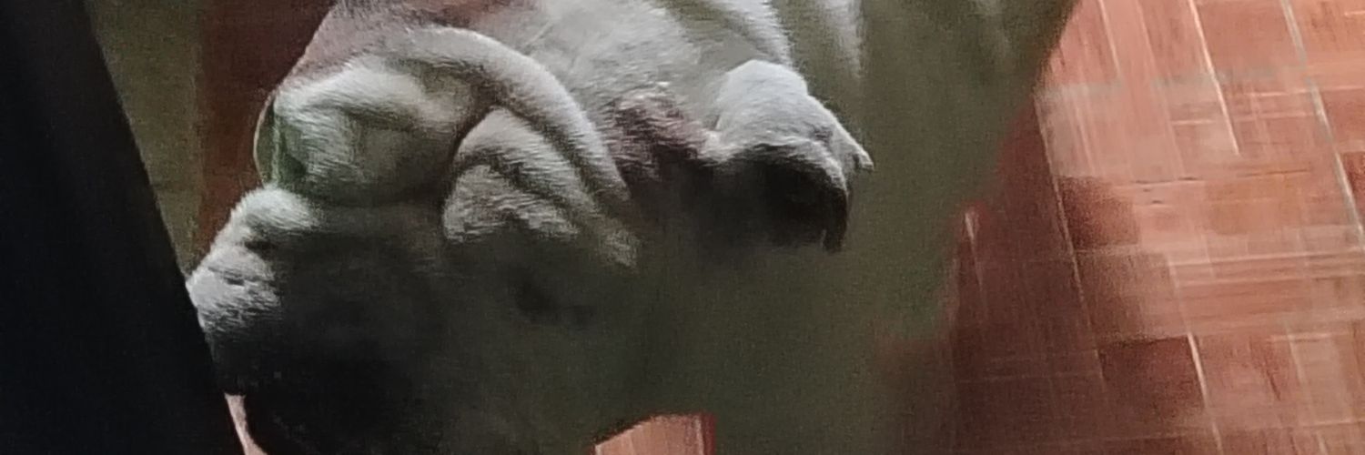 Markitos1801's profile banner image