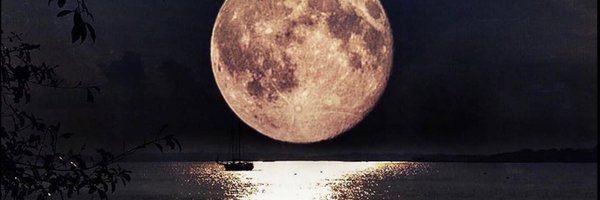 tomchristopher Profile Banner