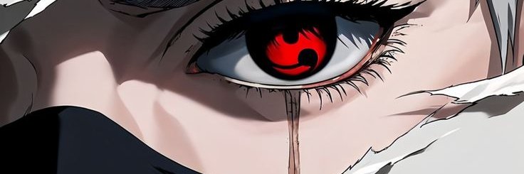 Riccy Darko banner