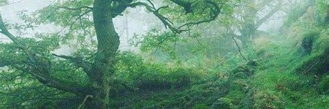 YuInTwistedLand's profile banner image